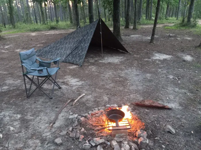 Coyote Campground, Kisatchie National Forest 7