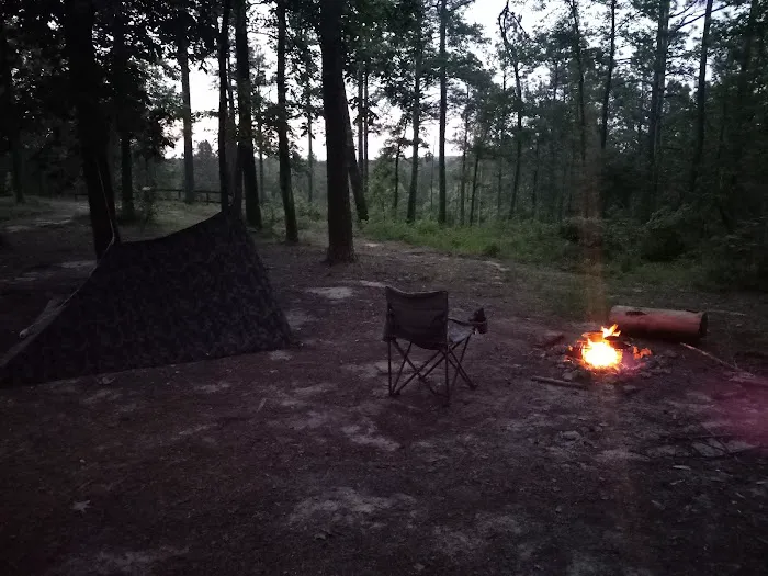 Coyote Campground, Kisatchie National Forest 6