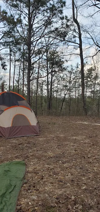 Coyote Campground, Kisatchie National Forest 2