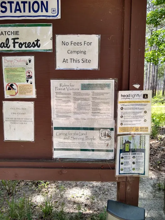 Coyote Campground, Kisatchie National Forest 3