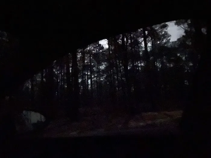 Coyote Campground, Kisatchie National Forest 4