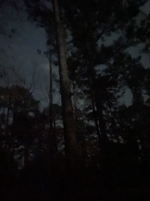 Coyote Campground, Kisatchie National Forest 8