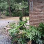 Riverbend RV Campground