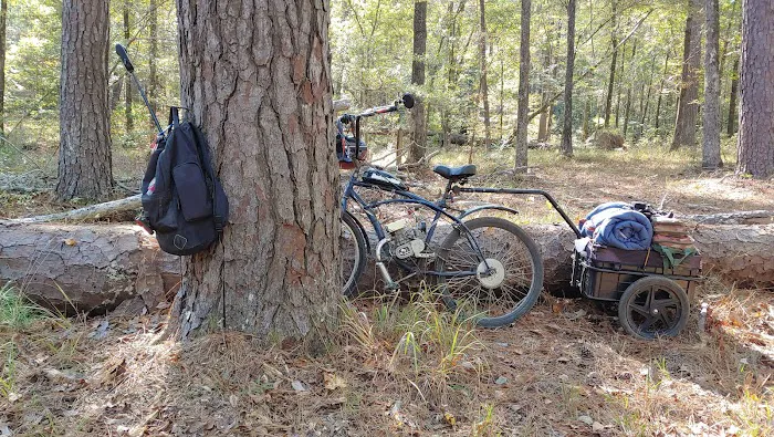 Saddle Bayou Primitive Campground 4