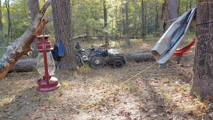 Saddle Bayou Primitive Campground 6