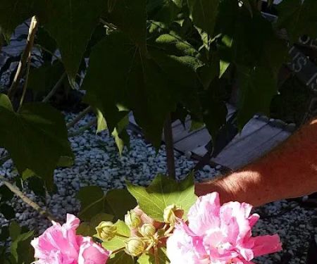 Inverness Mobile Home Park