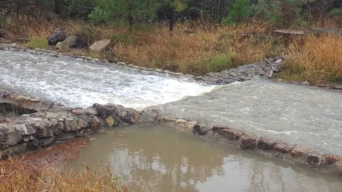 Boykin Springs Recreation Area 6