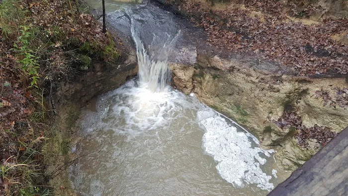 Boykin Springs Recreation Area 7