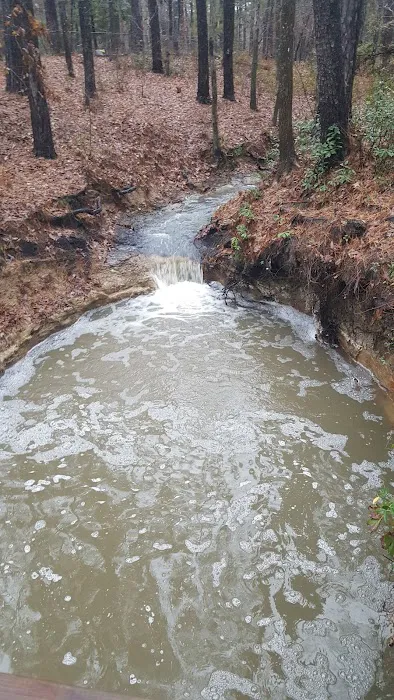 Boykin Springs Recreation Area 5