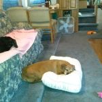 Double Heart Ranch & RV Park