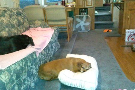 Double Heart Ranch & RV Park