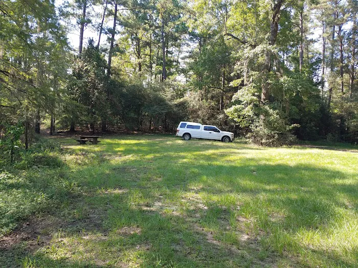 Bouton Lake Campground - Angelina National Forest 8