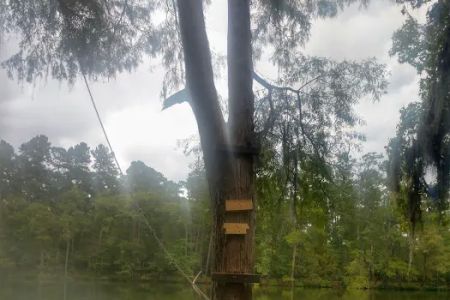 Bouton Lake Campground - Angelina National Forest