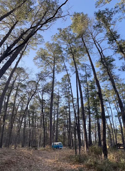 Bouton Lake Campground - Angelina National Forest 2