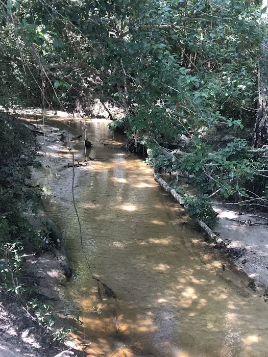 The Creek RV 8