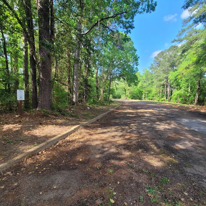 Willow Oak Campground - Sabine National Forest 9