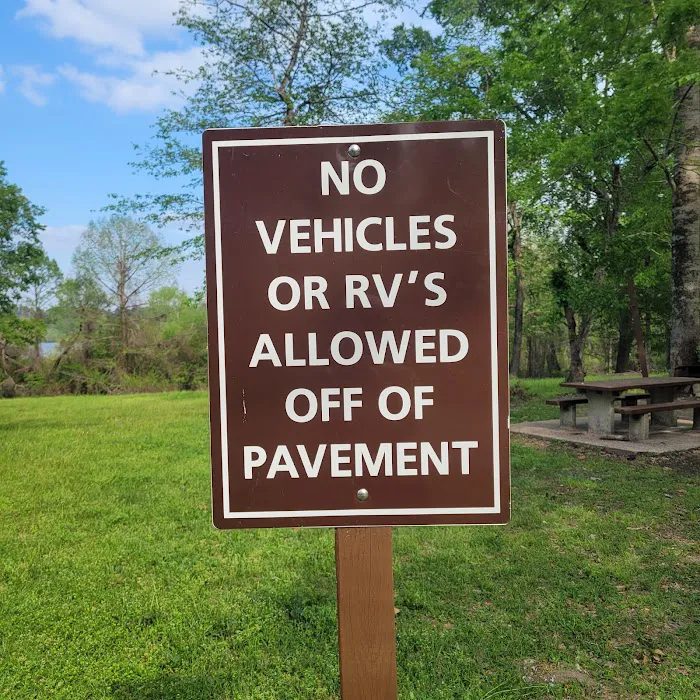 Willow Oak Campground - Sabine National Forest 4