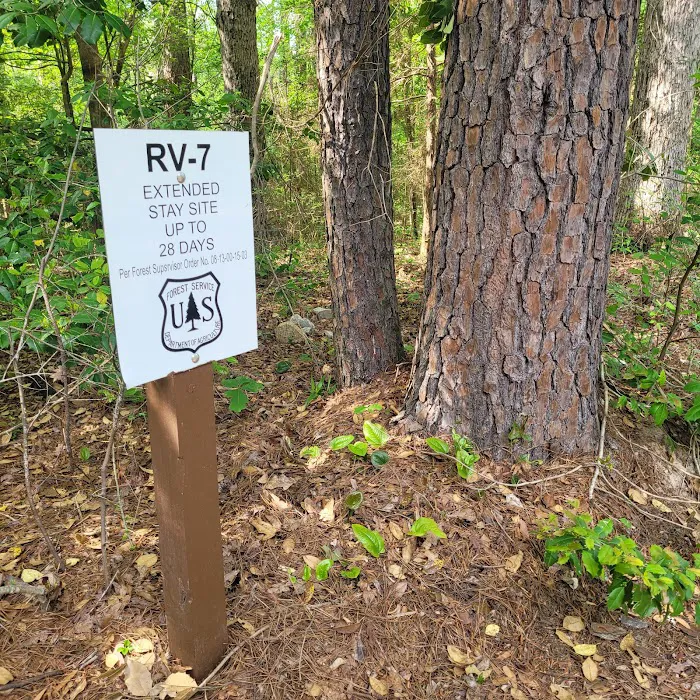 Willow Oak Campground - Sabine National Forest 5