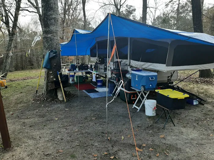 Willow Oak Campground - Sabine National Forest 3