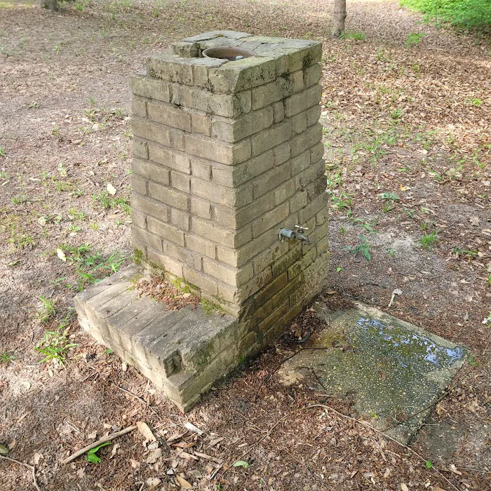 Willow Oak Campground - Sabine National Forest 10