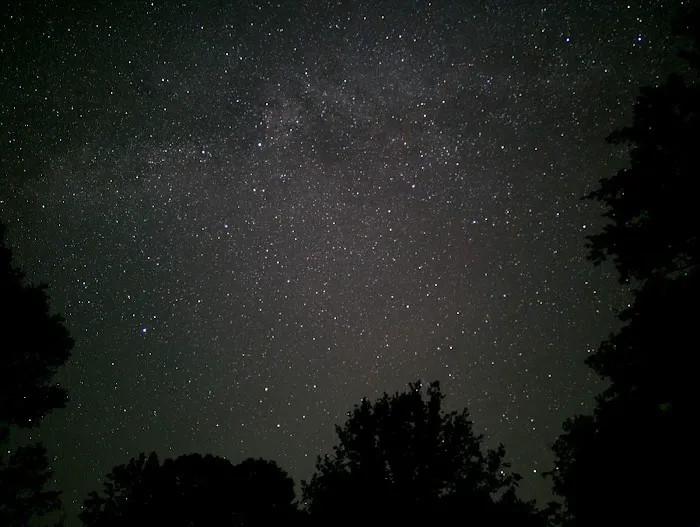 Willow Oak Campground - Sabine National Forest 2