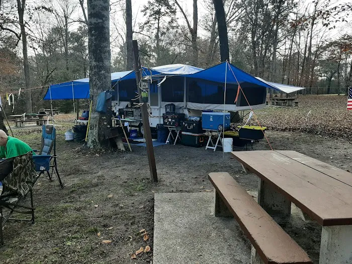 Willow Oak Campground - Sabine National Forest 1