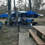 Willow Oak Campground - Sabine National Forest