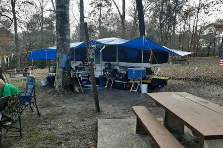 Willow Oak Campground - Sabine National Forest