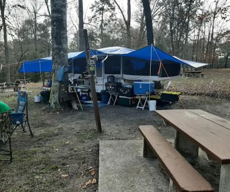 Willow Oak Campground - Sabine National Forest