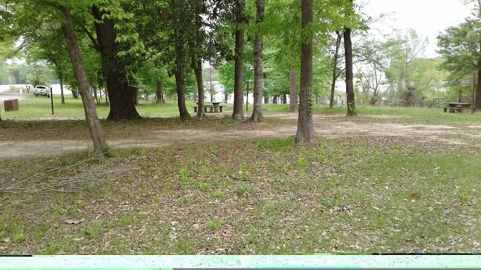 Willow Oak Campground - Sabine National Forest 8