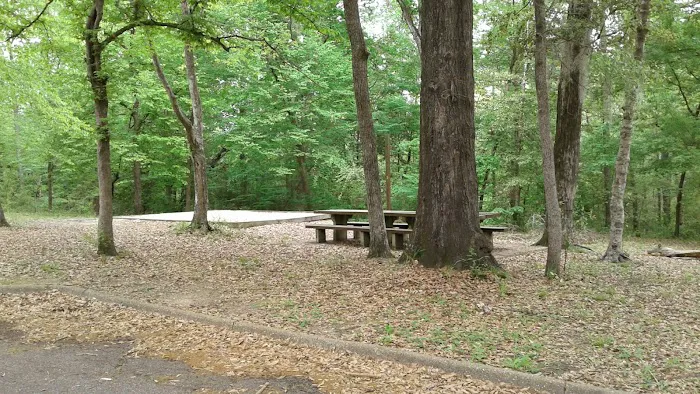 Willow Oak Campground - Sabine National Forest 7