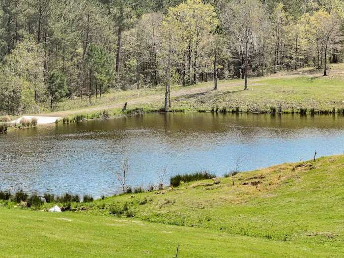 RV Park at Longhorn Meadows 1