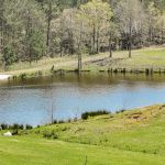 RV Park at Longhorn Meadows