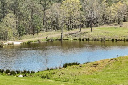 RV Park at Longhorn Meadows