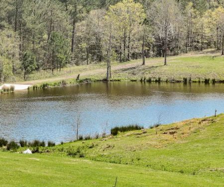 RV Park at Longhorn Meadows