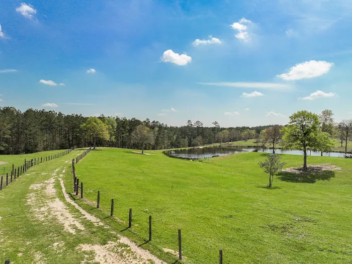 RV Park at Longhorn Meadows 9