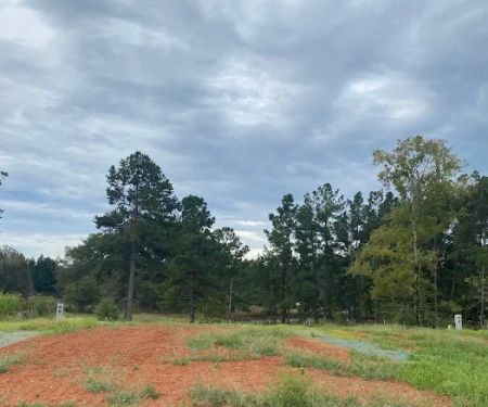 Oasis Manufactured Home Community