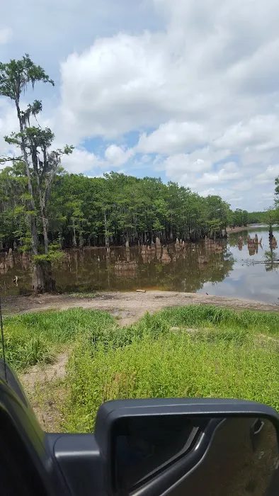 Pavilion RV Park 10