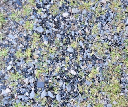 The Fishing Camp & RV Park