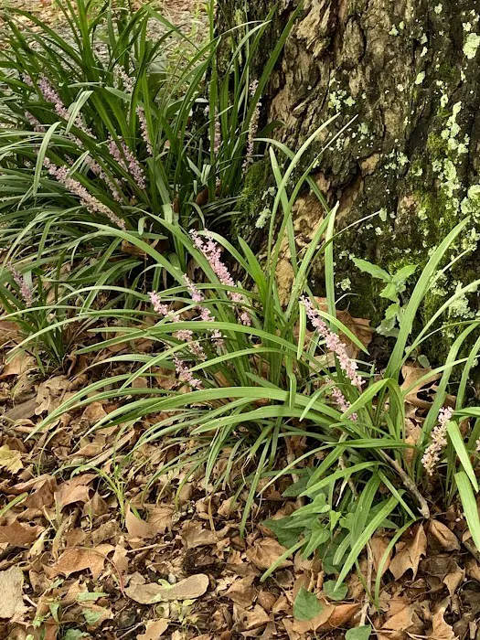 Bayou Boeuf RV & Campgrounds 9