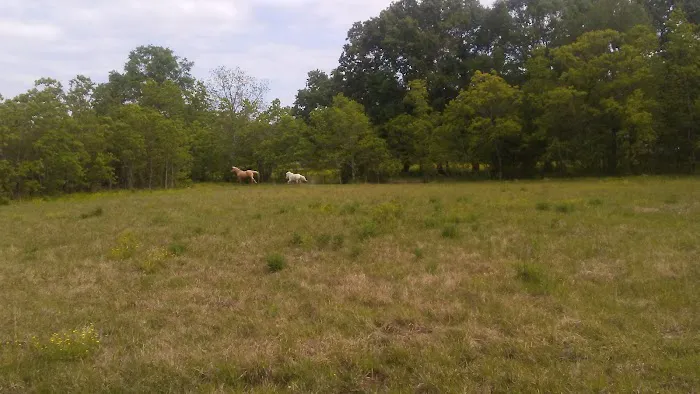 Oak Alley Mobile Home Park 1