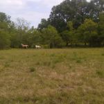Oak Alley Mobile Home Park