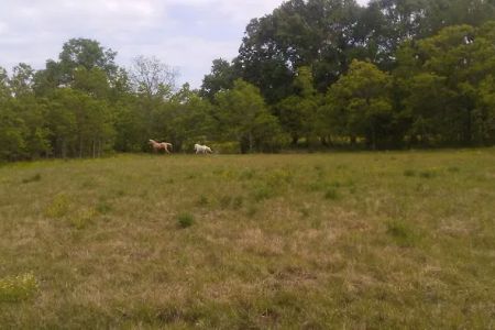 Oak Alley Mobile Home Park
