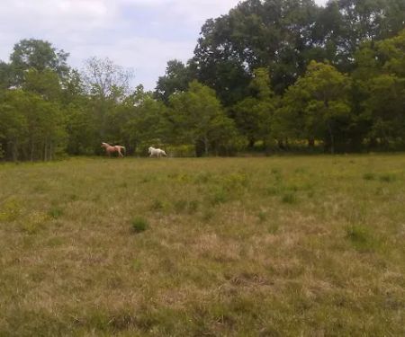 Oak Alley Mobile Home Park