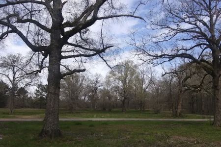 Russel Sage South Campground
