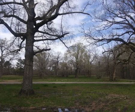 Russel Sage South Campground