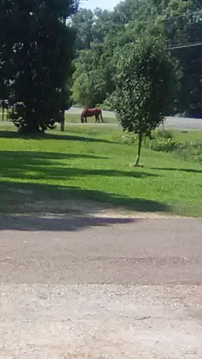 Reagan Mobile Home Park 1