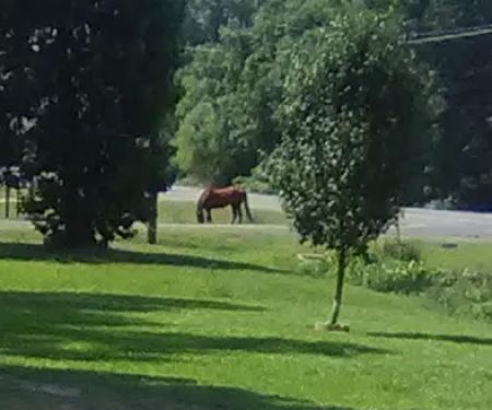 Reagan Mobile Home Park