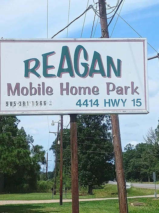 Reagan Mobile Home Park 2