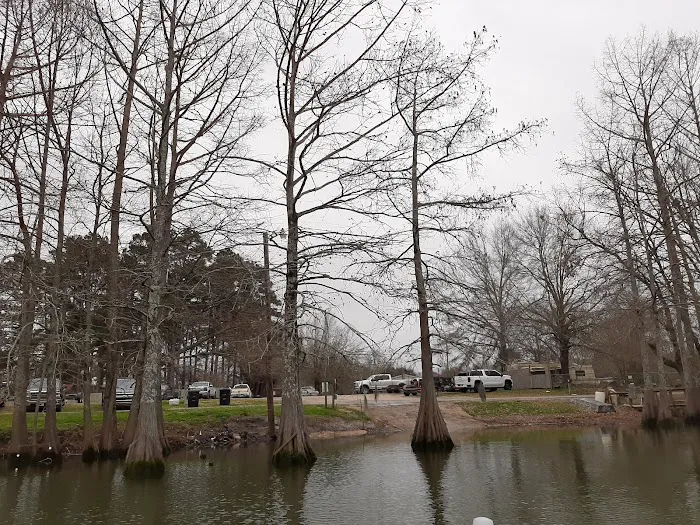 Woolen Lake Road Campground and Boat Launch 5